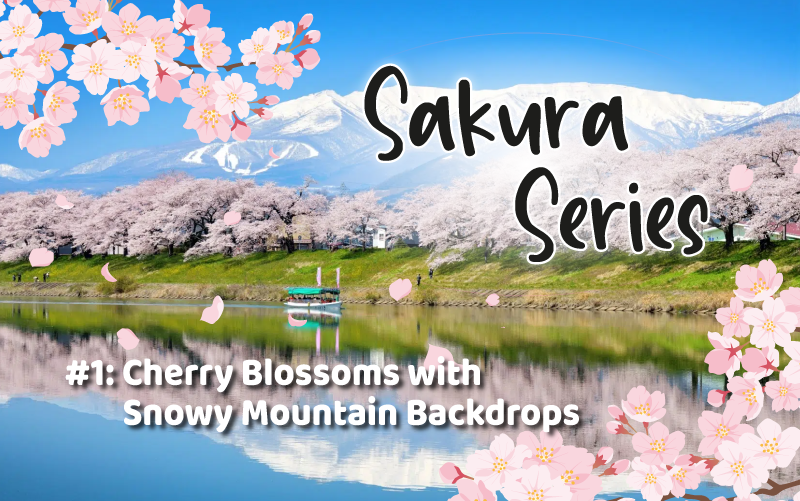 Sakura Series #1: Cherry Blossoms with Snowy Mountain Backdrops