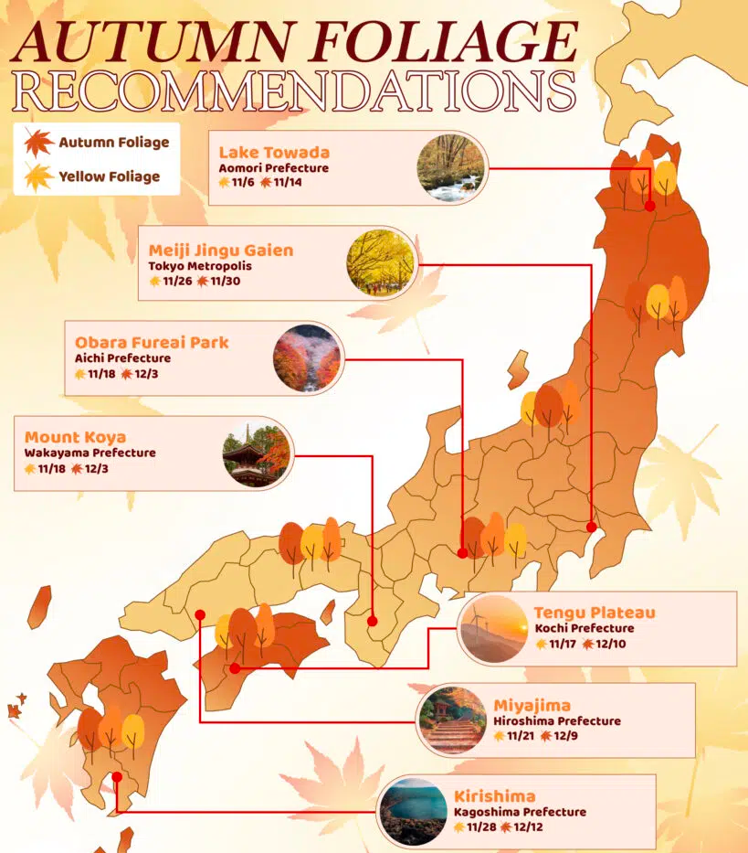 The first forecast of 2025 which dropped on 2 September. | © Kelsey / JR Club