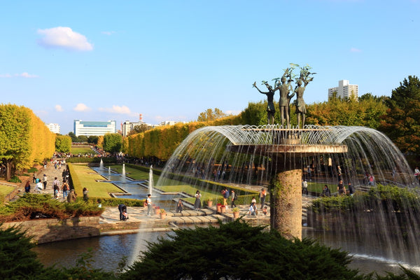 The Showa Memorial Park (国営昭和記念公園) in Tokyo was established in 1983 in celebration of the 50th anniversary of the Showa Emperor’s reign