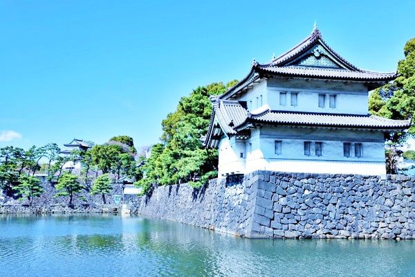 Remnants of the Edo Shugonate