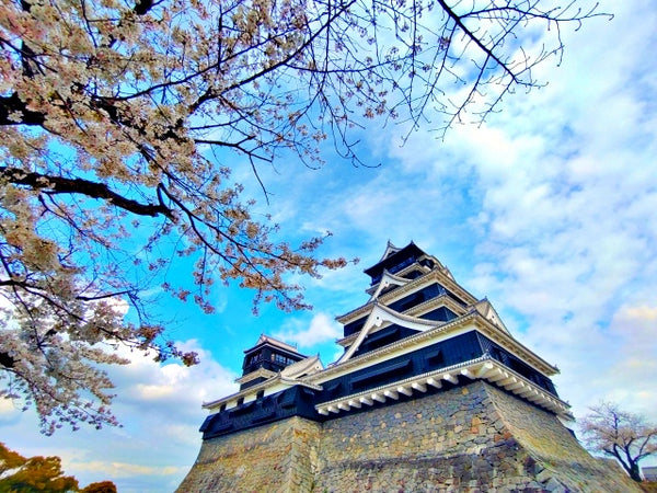 Happy Castle Day! (6 April): 10 Must-Visit Castles in Japan