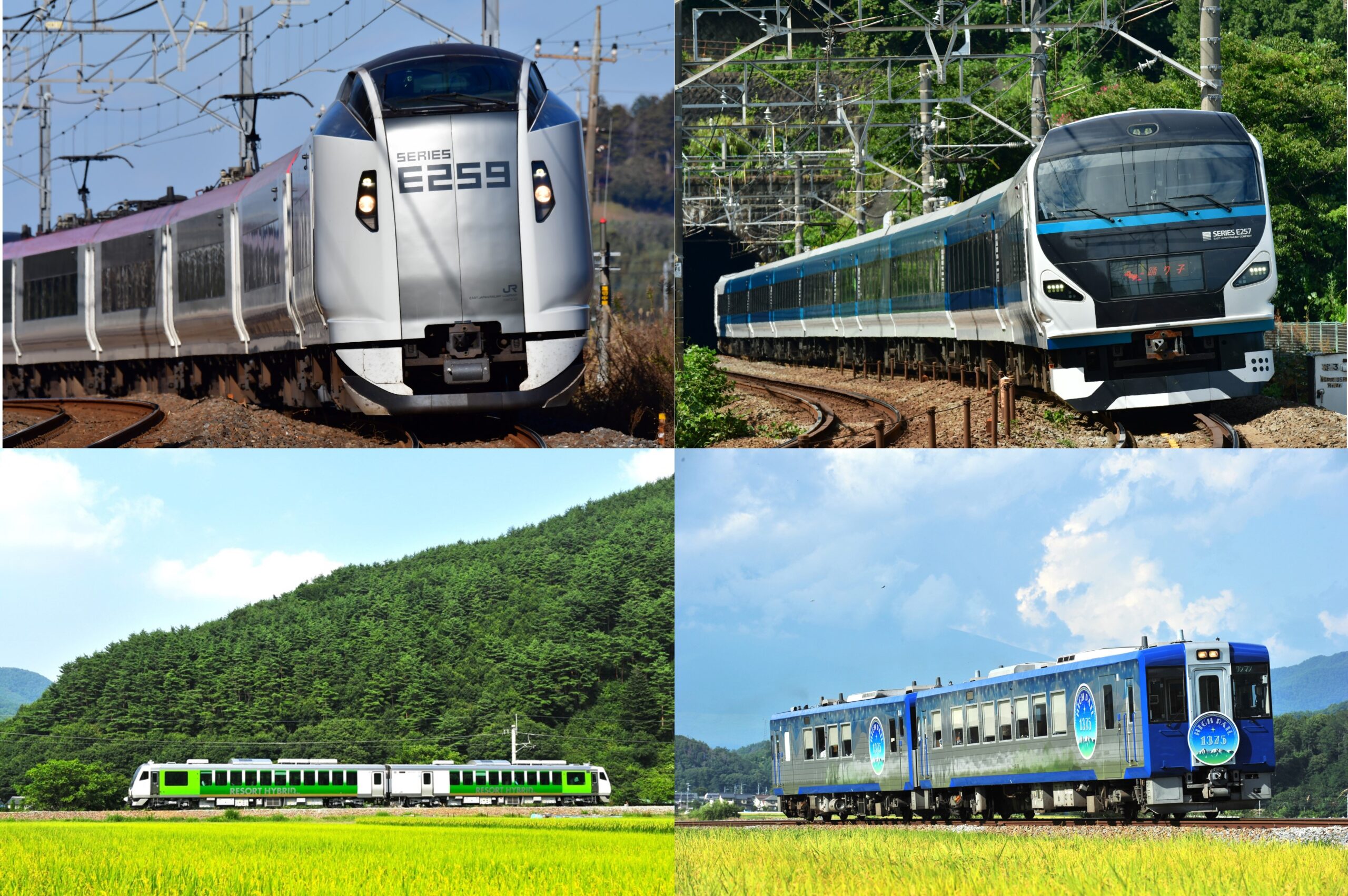 Other trains covered by the JR EAST PASS (Nagano, Niigata area)