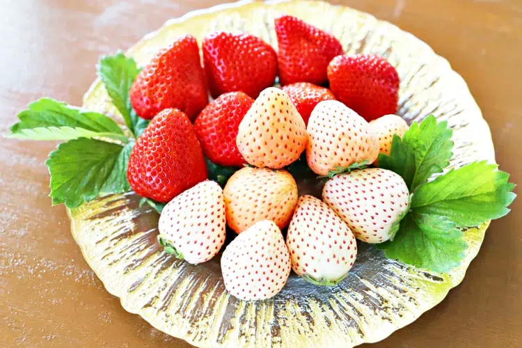 Decoration Strawberryカチューシャ シロ Decoration Strawberryカチューシャ シロ