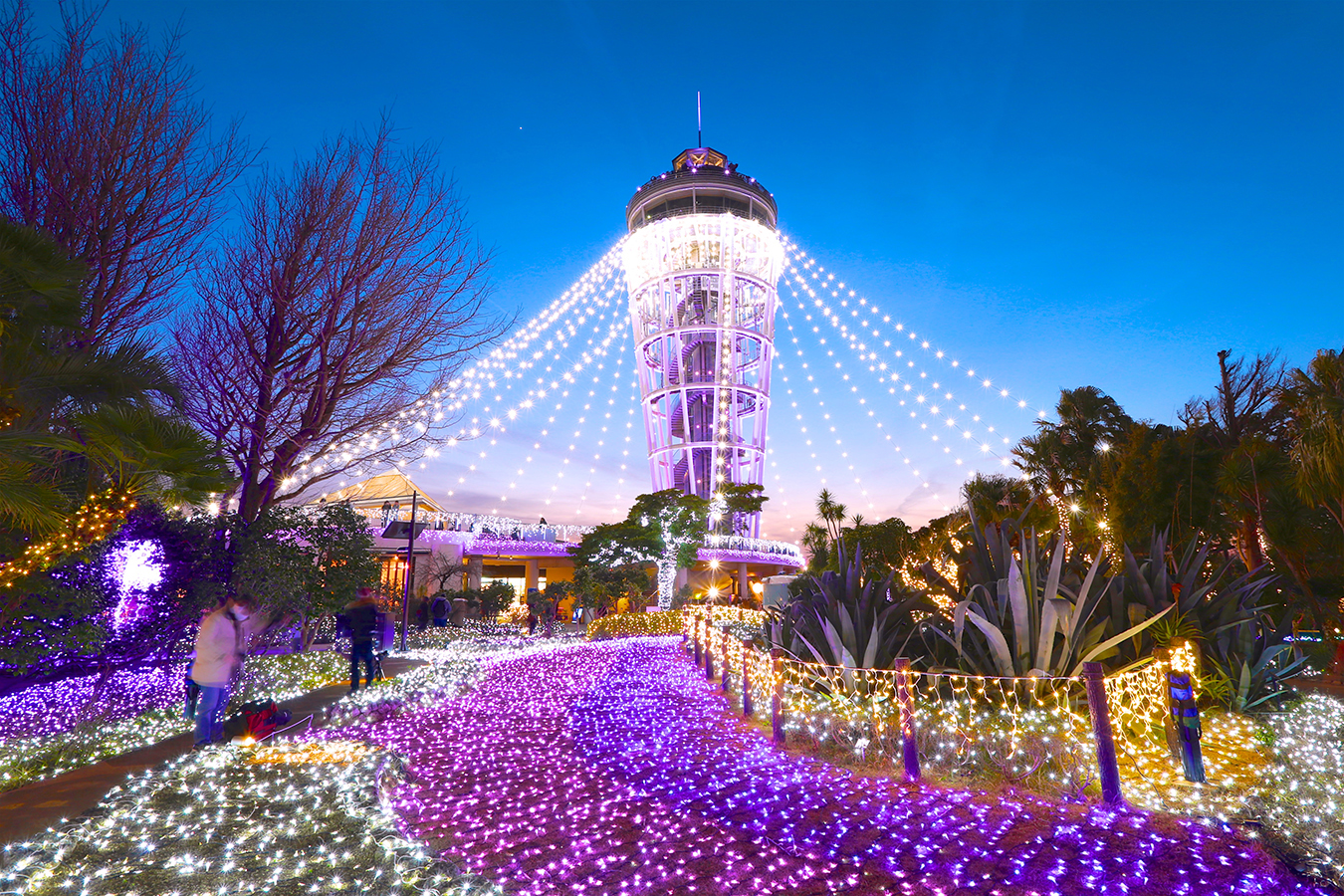 Enoshima Sea Candle