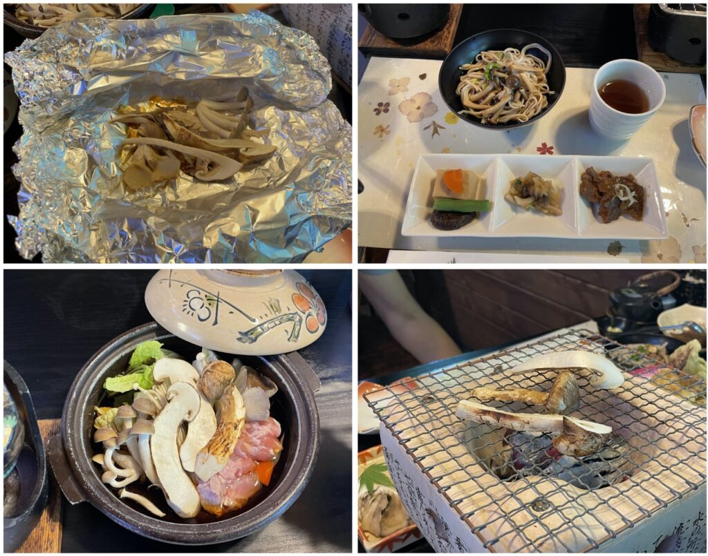 matsutake set_Food Funventure 2