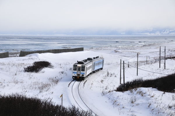 Winter Trains in Hokkaido: SL Fuyu-no-Shitsugen Train & Ryuhyo