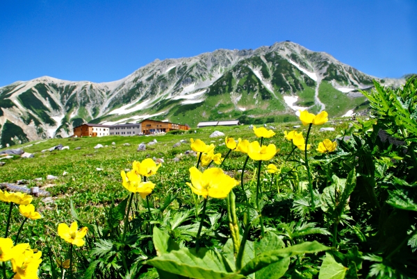 4 Seasons at the Tateyama Kurobe Alpine Route – Japan Rail Club
