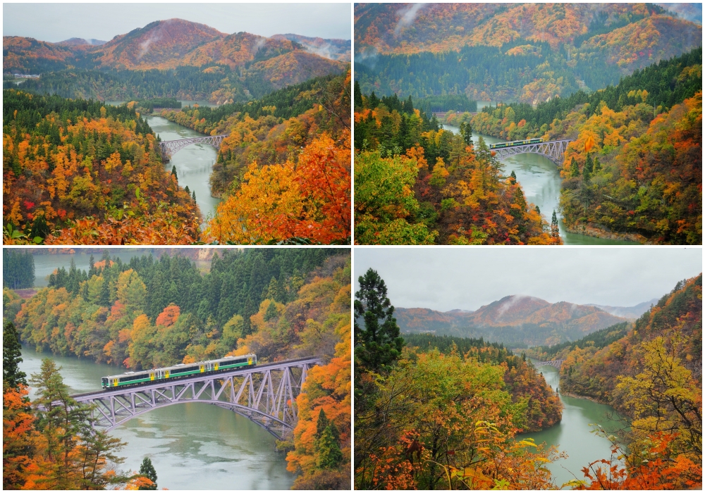 ・ふたつの声 ・Autumn Day 🍂☀️ Goodbye scorching summer, hello crisp autumn air! September