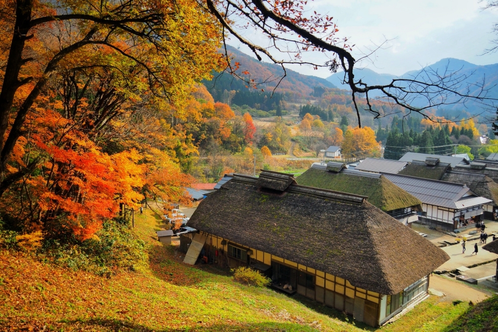 Tohoku Autumn Trip: Soak in the Autumn Hues at Aizu, Fukushima