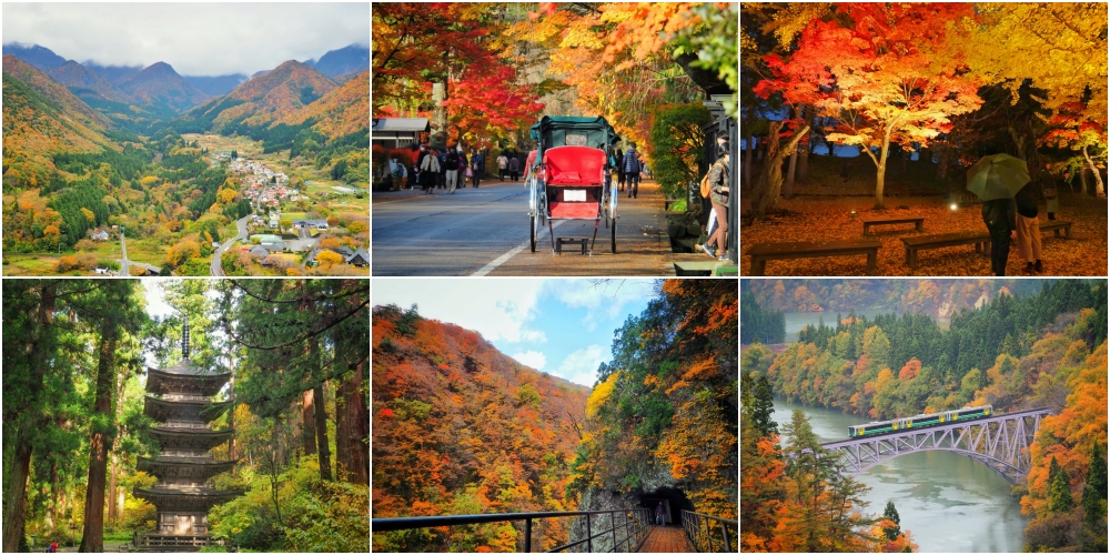・ふたつの声 ・Autumn Day 🍂☀️ Goodbye scorching summer, hello crisp autumn air! September