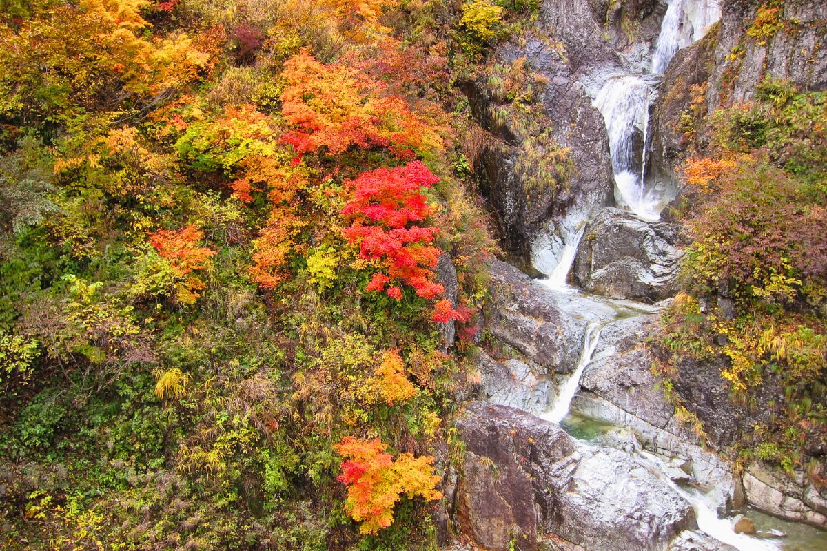 海の画廊「白 稜」 Hakusan-Shirawakago-White-