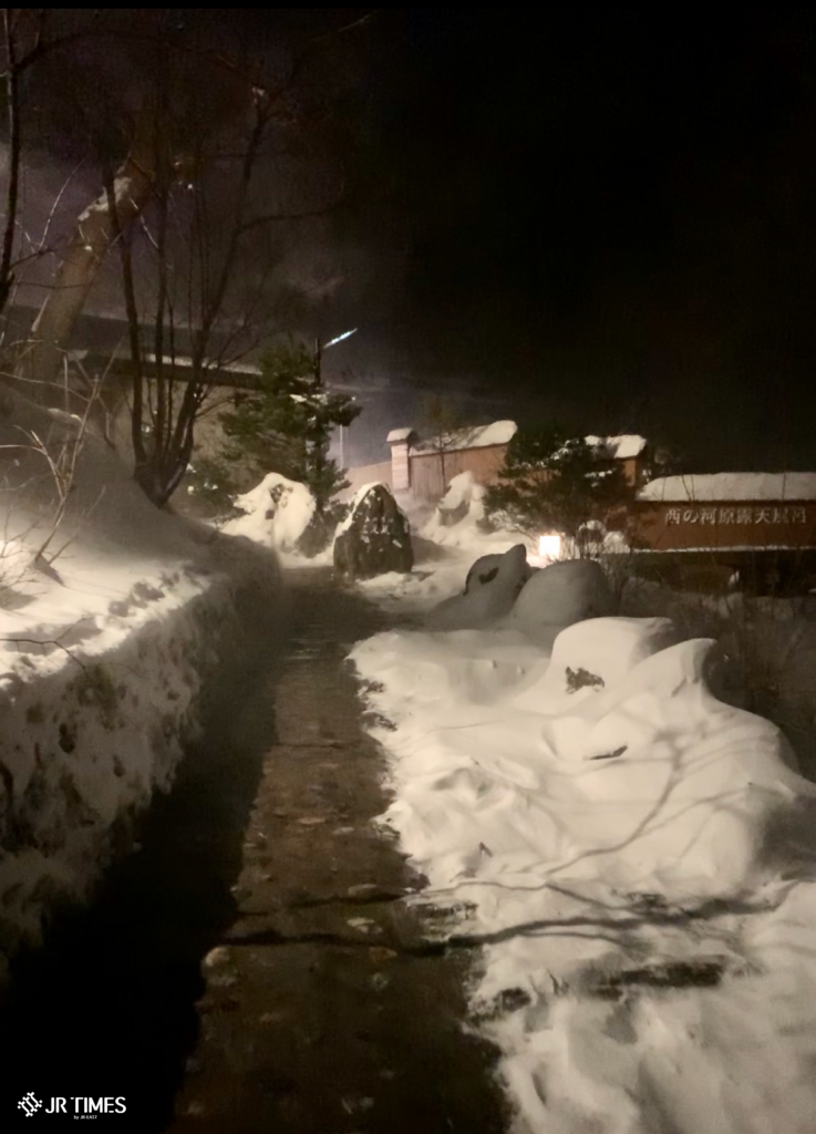 Relax in nature Kusatsu_night walk