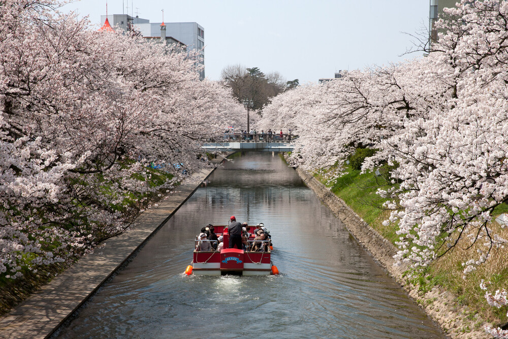 Matsukawa-River_Sakura Hokuriku