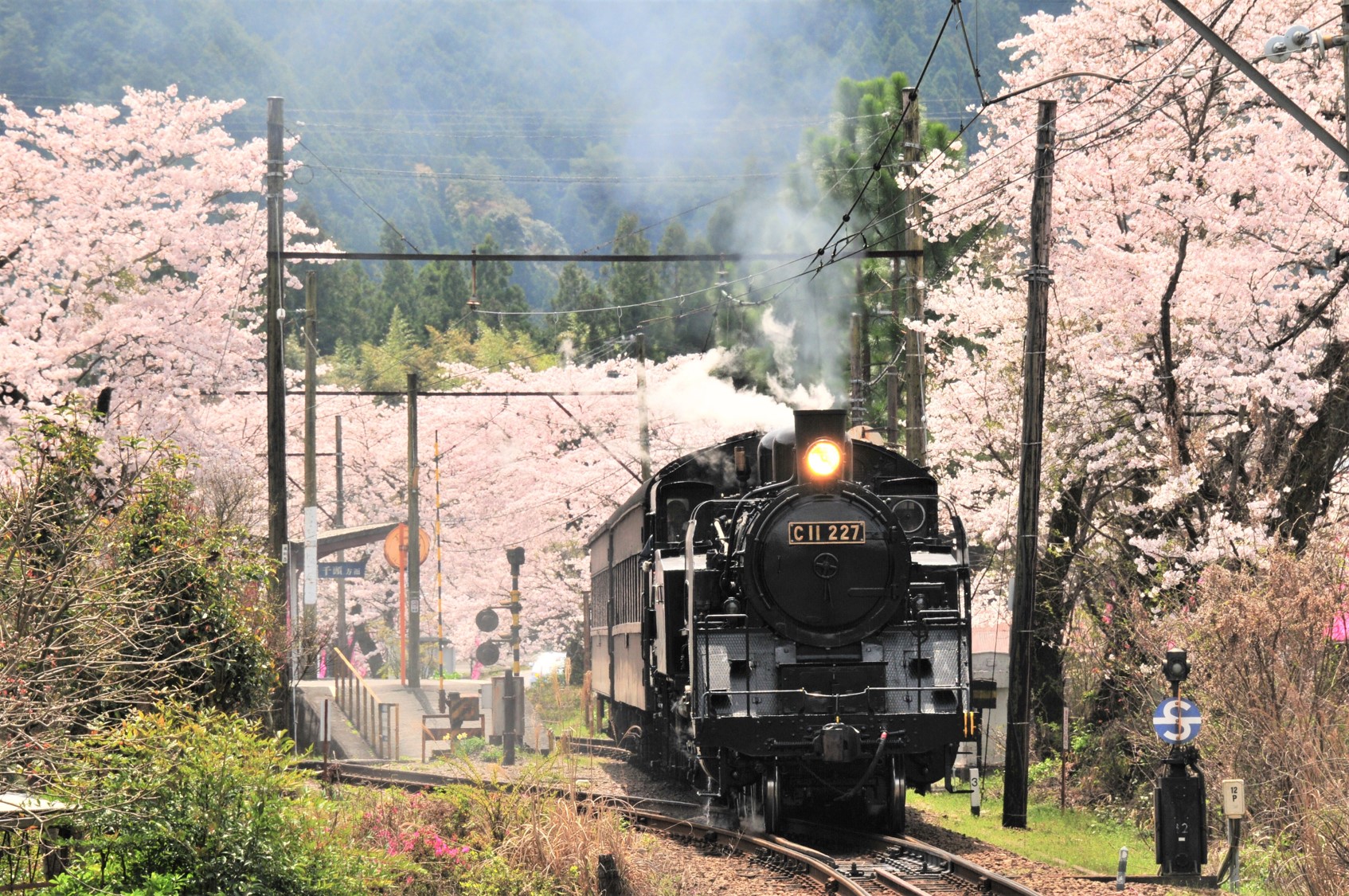 locomotive All Aboard! Discovering Japan's Steam Locomotive Trains | JAPAN RAIL CLUB
