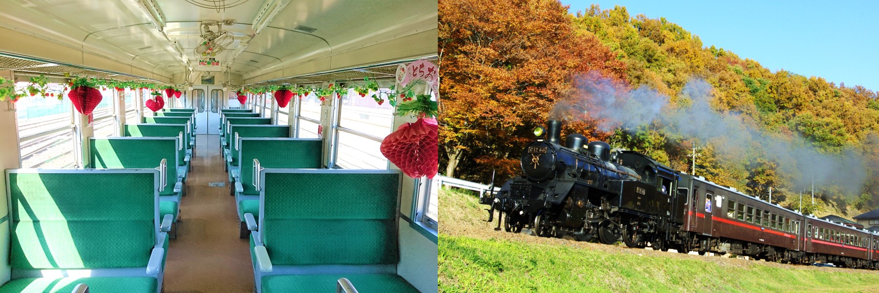 All Aboard! Discovering Japan's Steam Locomotive Trains – Japan