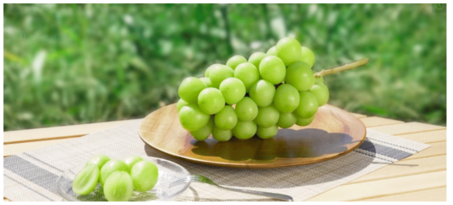 Grape_Fruit-tastic Japan
