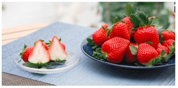 Strawberry_Fruit-tastic Japan