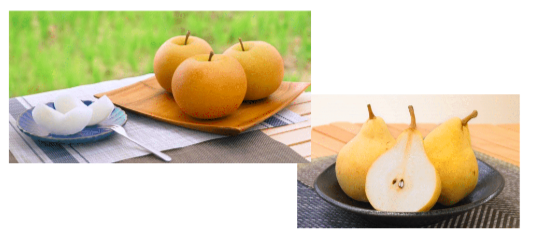Pear_Fruit-tastic Japan