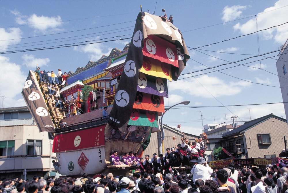 Seihaku Festival_Beyond Blossoms