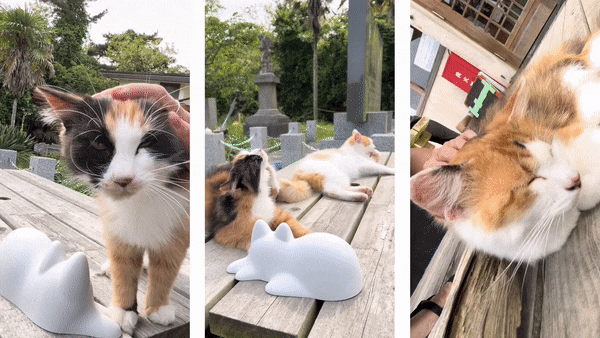 Adventures of a Cat Lady: Frolicking on Cat Island Tashirojima