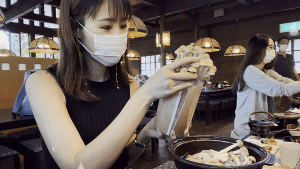 food funventure 2_mushroom