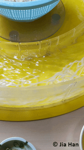 Flowing noodles GIF