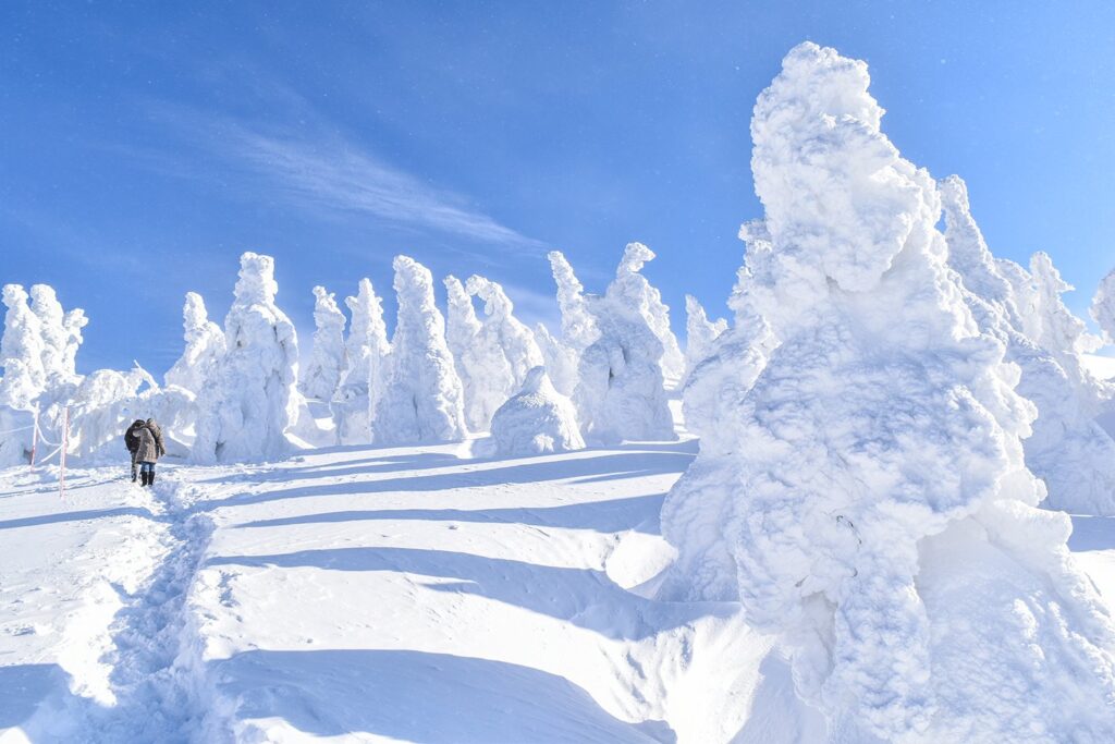 Snow Monsters in Mount Moriyoshi, Akita