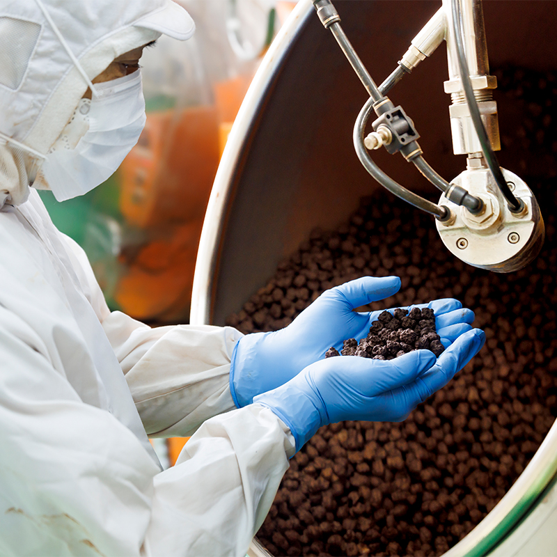 YOKOIchocolate Featured Image