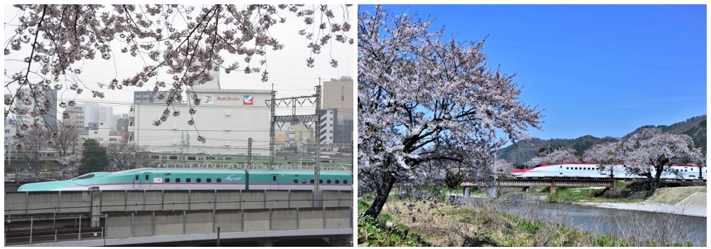 RailPass_JEPTTrainsv2.png (726 KB)