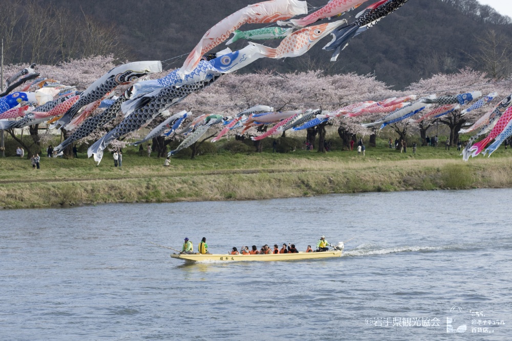 Enjoy a boat ride along the Kitakami River. | ©岩手県観光協会