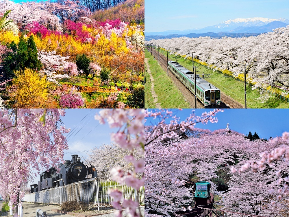 Spring is one of the best times to visit Tohoku. | ©福島県観光物産交流協会 (left) and ©宮城県観光戦略課 (right)