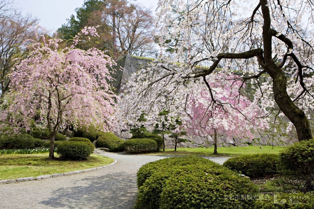 Perfect for a morning stroll. | ©岩手県観光協会