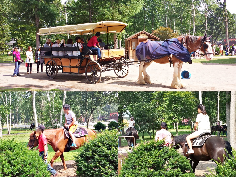 Take a ride on a horse-drawn carriage, or go horseback riding along various trails. | © Carissa Loh