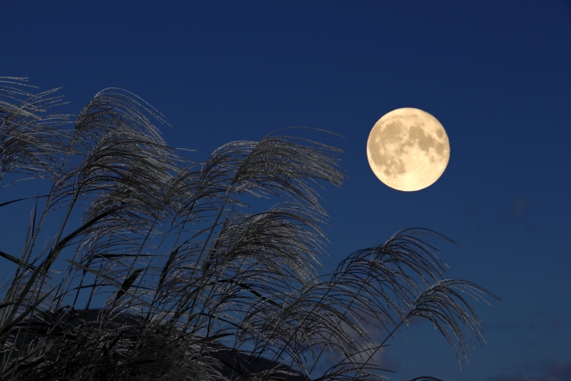 Tsukimi food often features ingredients that represent the moon. | ©photoAC