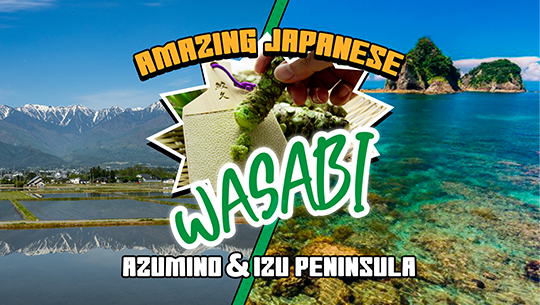 Amazing wasabi
