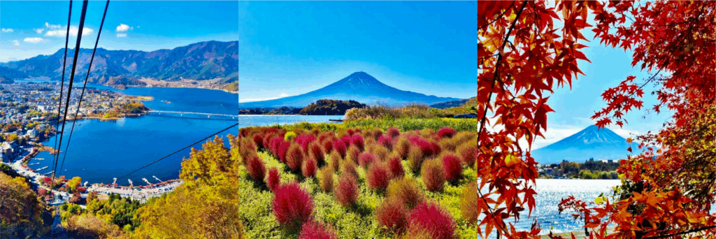 Mt. FUJI PANORAMIC ROPEWAY, Oishi Park, Momiji Tunnel