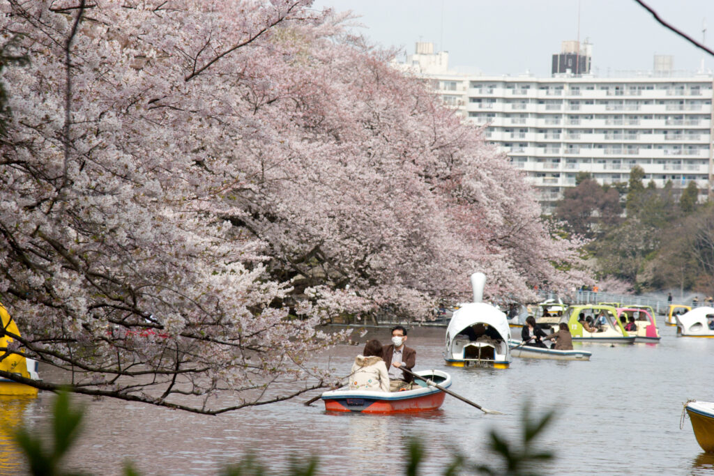 Inokashira Park in the spring. | ©KimonBerlin / CC BY-SA 2.0