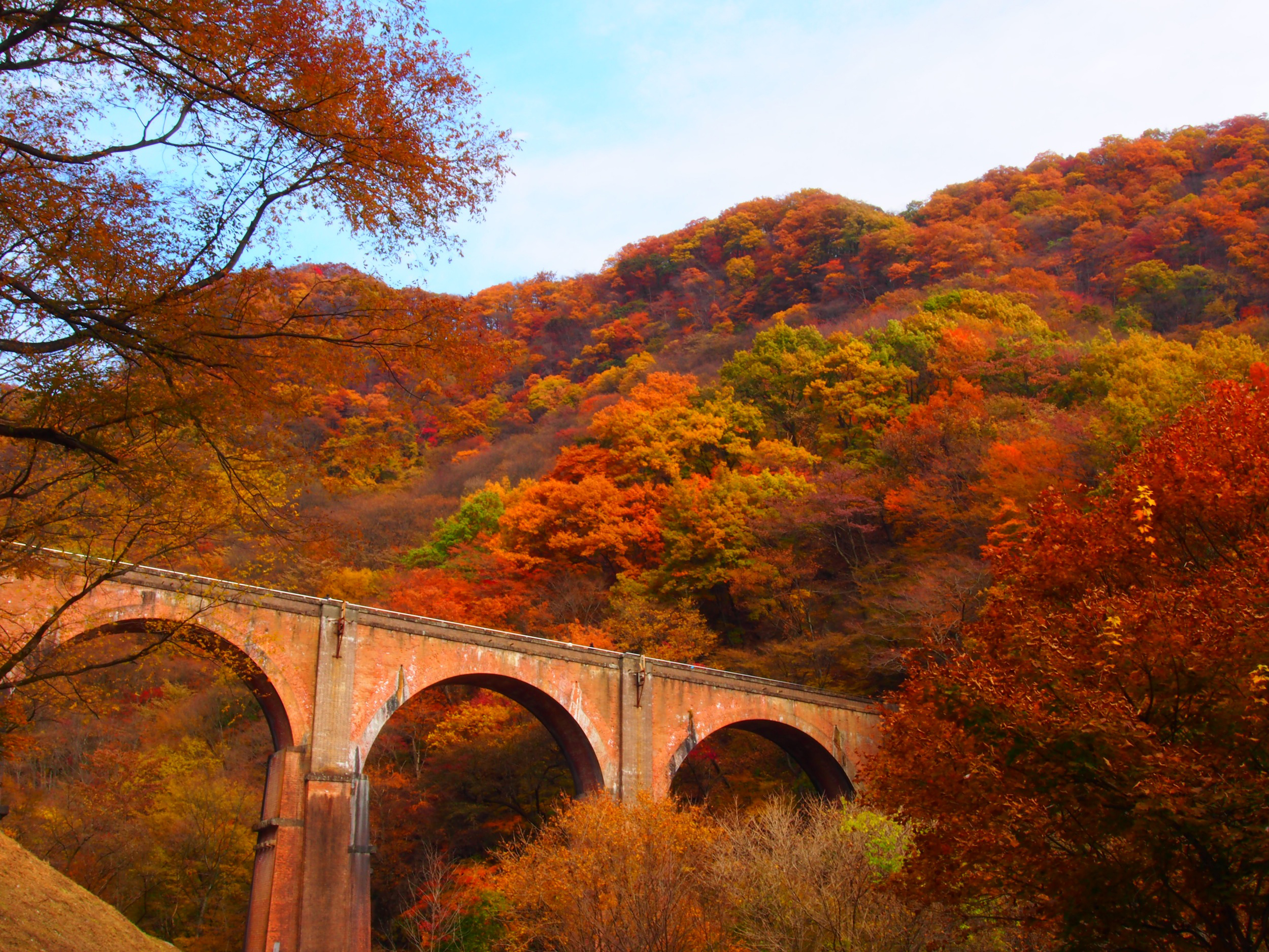 ⑪Usui Third Bridge（autumn）