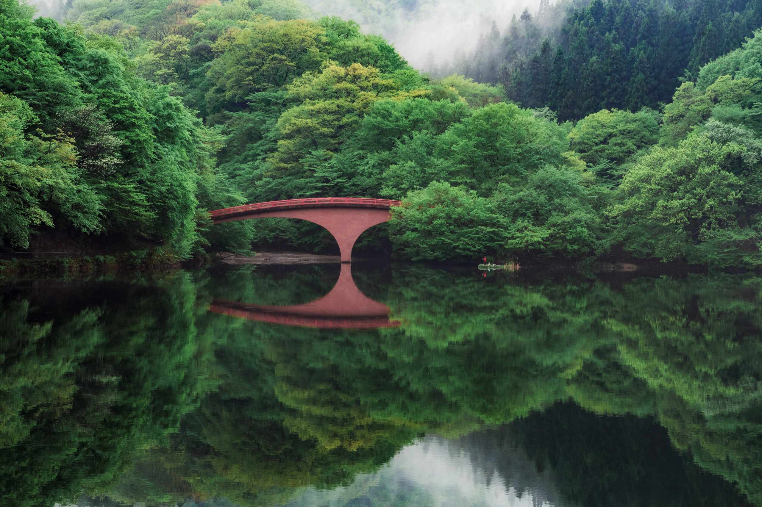 ㉑Usui Lake（fresh verdure）